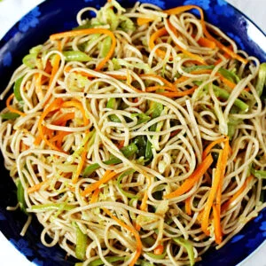 Veg Mixed Noodles